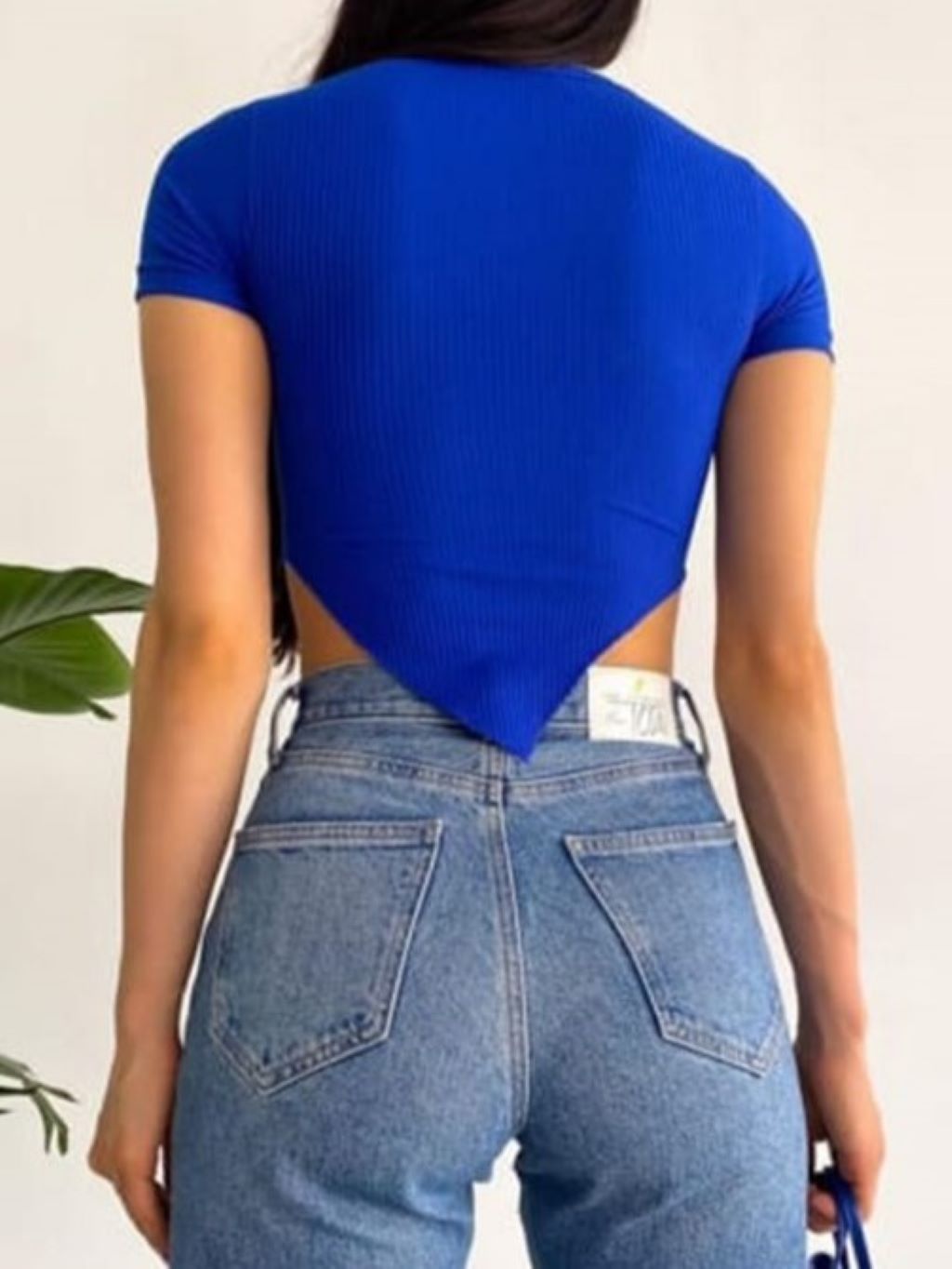 Camelia Basic Crop Top